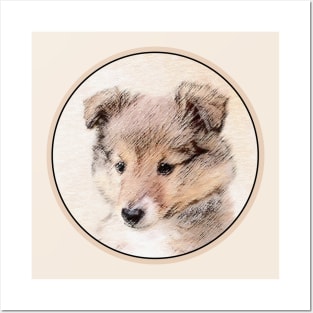 Shetland Sheepdog Puppy Posters and Art